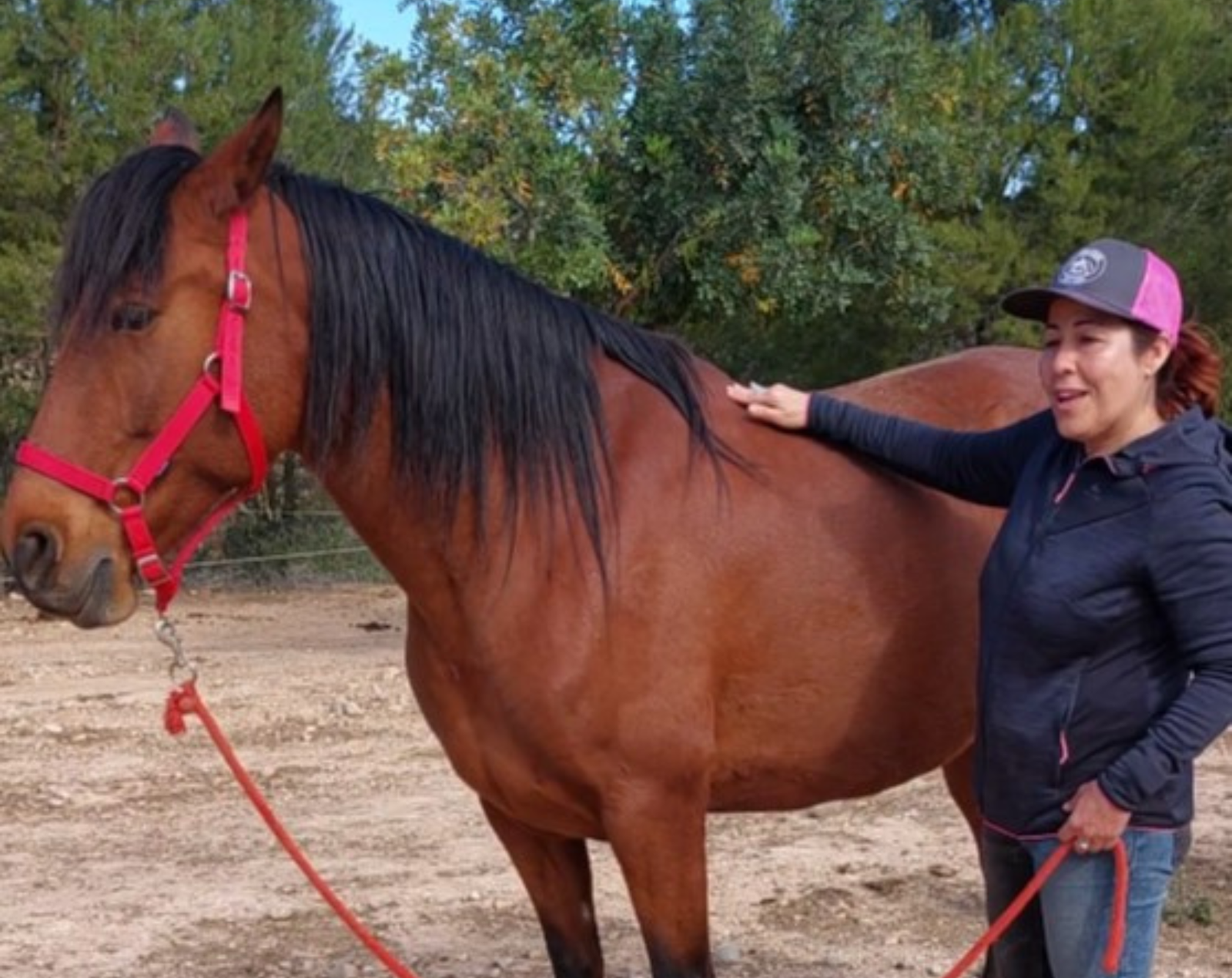 Instructora Método Masterson tocando a un caballo.