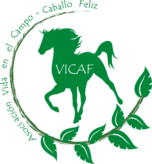 Asociación VICAF