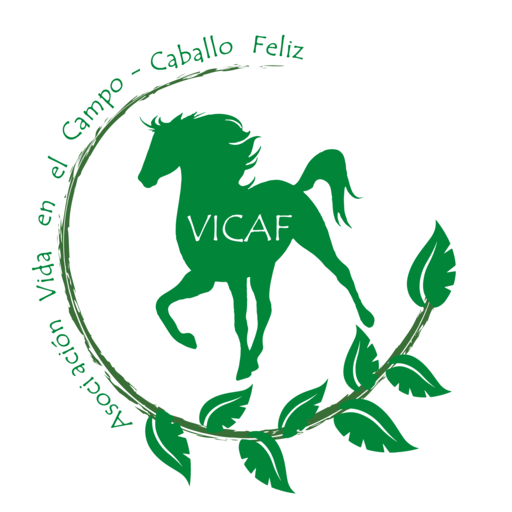 Logotipo de VICAF